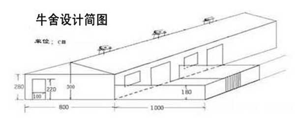 養牛技術