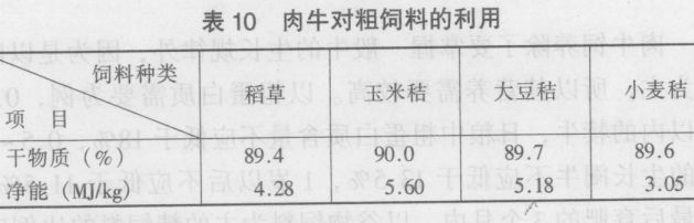 肉牛的飼養技術