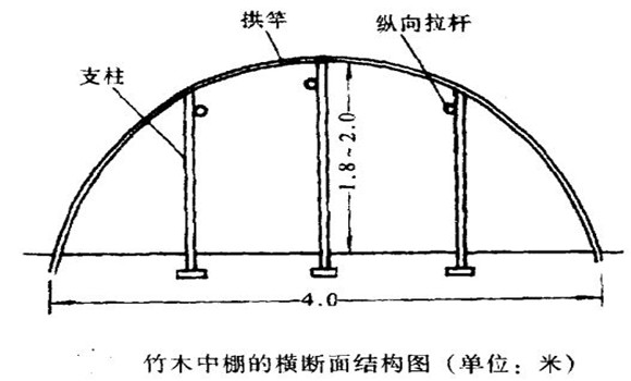 大棚蔬菜種植技術