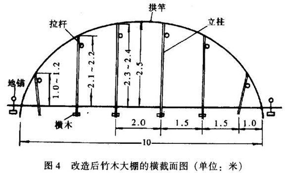 老式塑料大棚應當如何改造