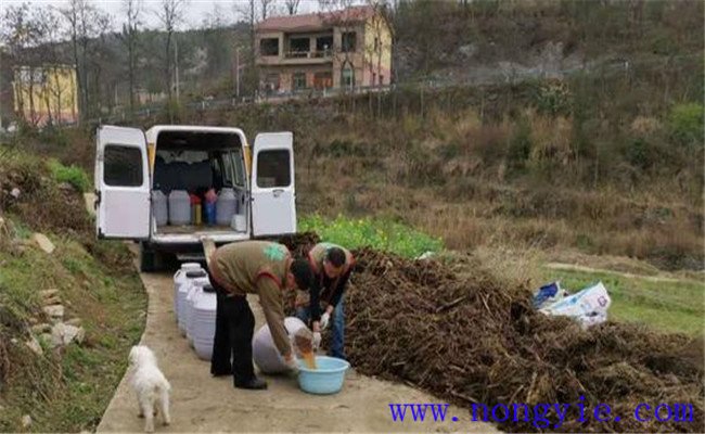 有機肥料與無機肥料有什么區別