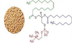 大豆異黃酮對人體有什么好處 什么食物含量多？