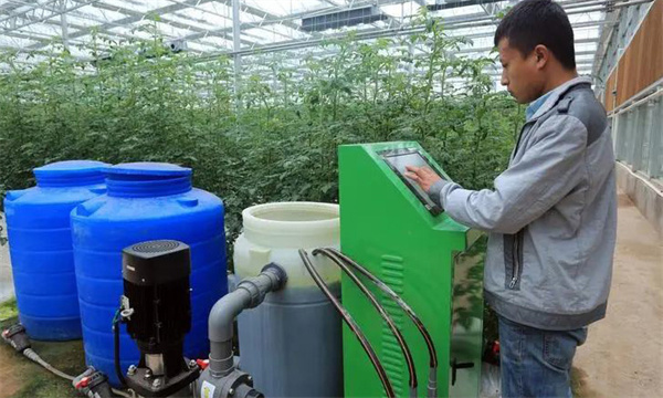 施用二氧化碳氣體肥應注意的問題